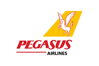 05-pegasus.png