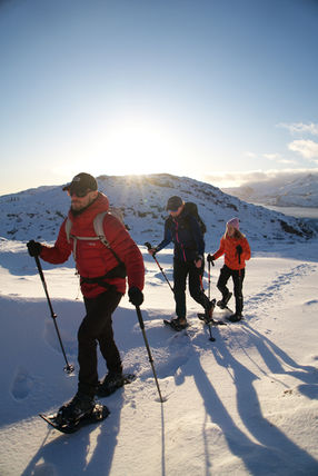 Easy guided snowshoe hike through snowy landscapes in Lofoten