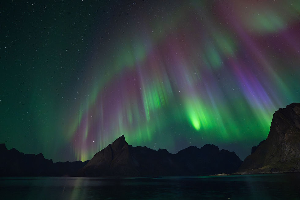 Northern lights in Lofoten: how, when and where to experience the magic.