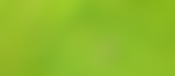The Problem with Big Grass Lawns