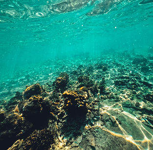 underwater-at-the-beach-on-the-island-2026-03-24-11-38-49-utc.jpg