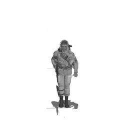 AirbornePreW.gif