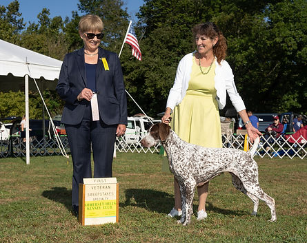 Lucy 1st place Veteran swps 9-2019.jpg