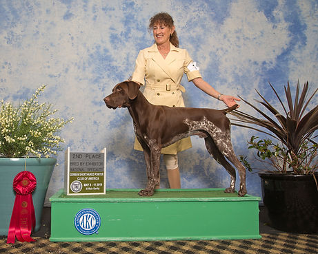 Donovan 2nd BBX_2019_RKG13436.jpg