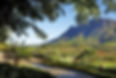 phoca_thumb_l_Delaire Graff Estate Gardens at Sunrise.jpg