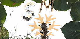 Projet de Saint-Martin_edited.jpg