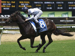 Darby Racing on FIRE at the Warwick Farm trials