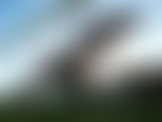 'No rider error': Sherry still sweet for Newnham and Black Magnum