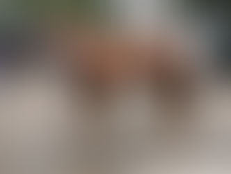 No doubt a tough task