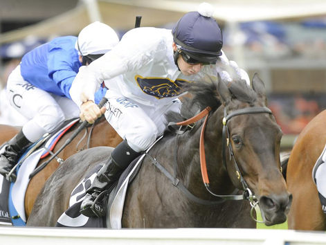 Yankee Rose looking for back to back 2YO city wins