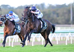 The Budgiesmugla (NZ) Wins Cup - Cult Following!