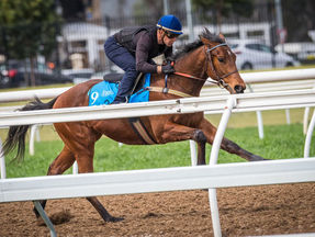 One to Watch – Wyong