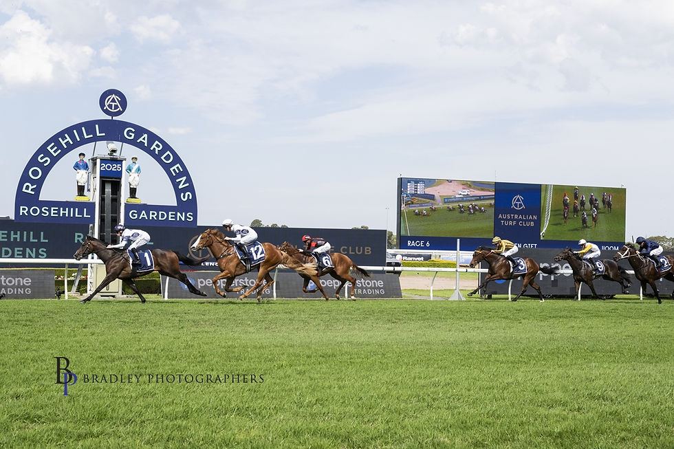 Photo by Bradley Photographers