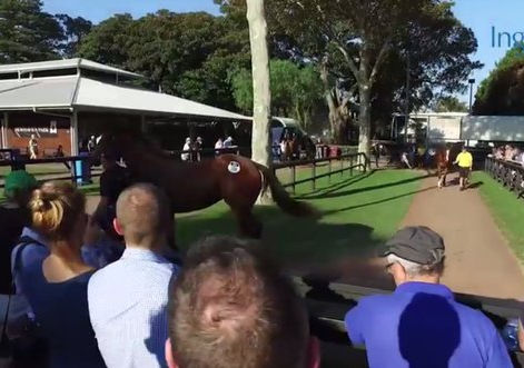 Action Heats Up At Easter Sale