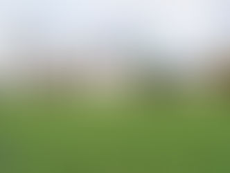 Not A Single Doubt's Samadoubt All The Way in Canberra Cup