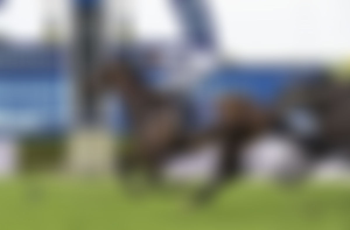 Thebudgiesmugla Delivers Darby Racing's 41st Individual Stakes Winner