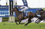 Thebudgiesmugla Delivers Darby Racing's 41st Individual Stakes Winner