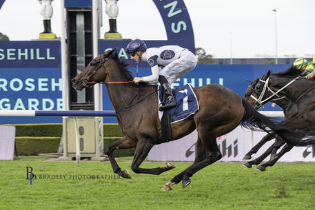 Thebudgiesmugla Delivers Darby Racing's 41st Individual Stakes Winner