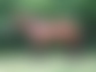 Magnus Flyer Breaks Record