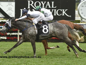 Rock Forthe Ladies ROCKS Randwick