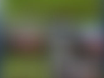 More maiden success for Darby Racing NIGHTHAWK & ULTIMATE FANTASY