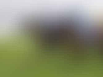 Darby Double at Kembla!