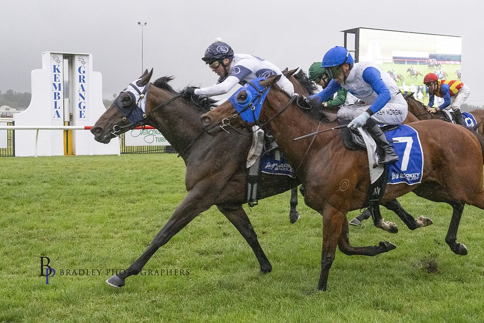 Photo Bradley Photogrphers