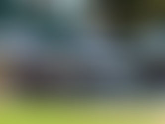 Hugely successful Yearling Parade at Wild Oaks Farm