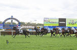 Dynamite performance in the Listed Civic Stakes