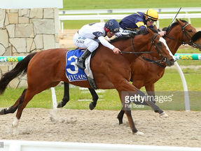 Snitzelwood - The Eight Wonder