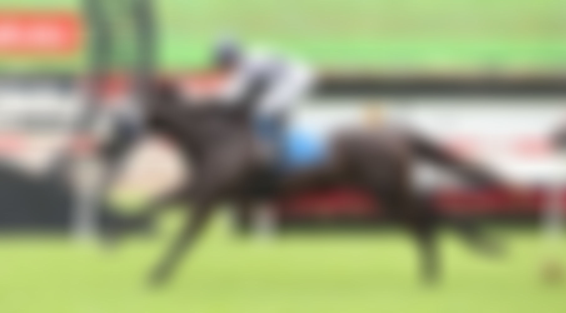 Last Command Salutes at Eagle Farm