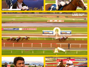 SNITZELWOOD CONTINUES TO RACK UP THE WINS