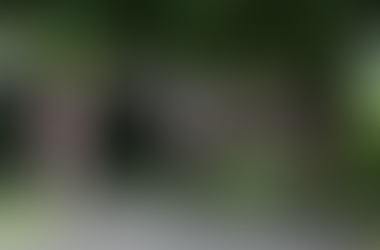 Two purchases on Day 1 of the NZB Karaka Yearling sale for Darby Racing