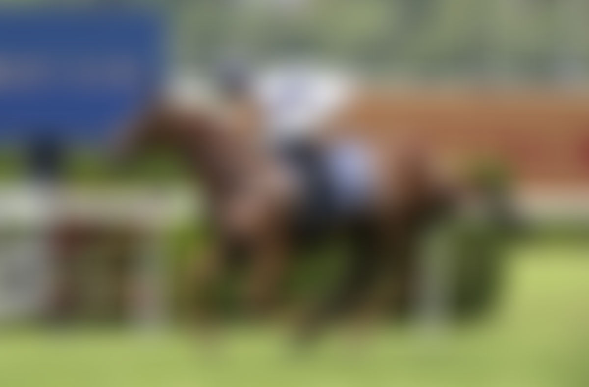 Campaldino Charges Into Sydney Cup Favouritism with Randwick City Stakes Triumph