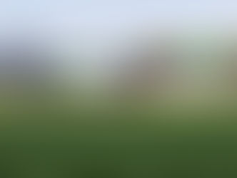 💥 MIDNIGHT DYNAMITE EXPLODES AT RANDWICK! 💥