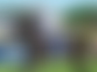 Darby Racing enjoy great success in the 2016 Golden Slipper