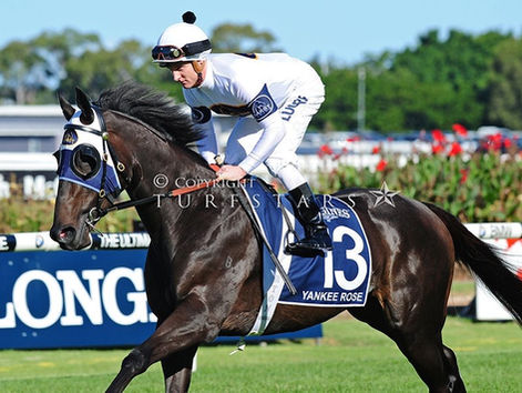 Darby Racing enjoy great success in the 2016 Golden Slipper