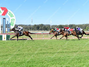 Patronizing in career best form