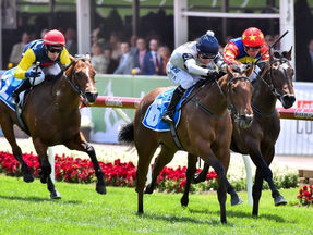 Setsuna wins the Inglis Banner