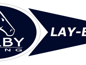 NEW LAY-BY TERMS FOR SHARE PURCHASES