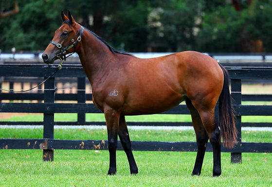 Awesome Rock x Lucky Ana 1.JPG
