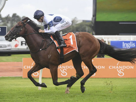 Kingstar Farm secure 2YO speed sensation Time To Reign