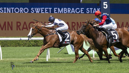 Spicy Miss Sizzles to Sweet Embrace Stakes Victory