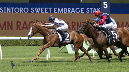 Spicy Miss Sizzles to Sweet Embrace Stakes Victory