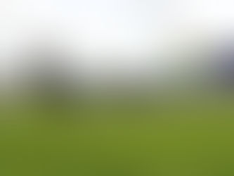 She Will Reign wins $3.5m Golden Slipper