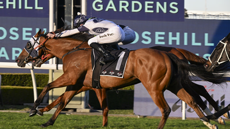 Robusto The Ultimate Inglis Digital Success Story