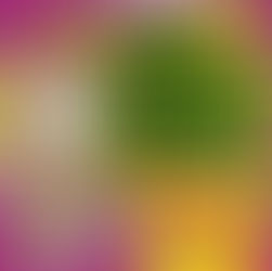 Knyga „Stulbinanti medicina. Šlykšti ir siaubinga žmogaus kūno istorija“