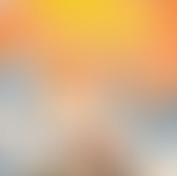 Knyga „Komisaras Letena 4. Plaukuota byla“