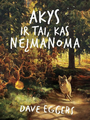 Knyga „Akys ir tai, kas neįmanoma“
