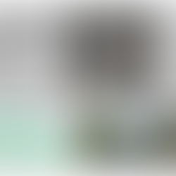 Martyno Vainilaičio vaikystės takais